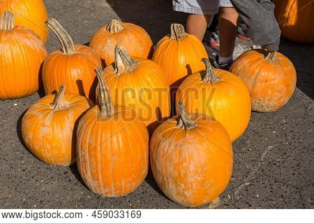 Several Pumpkins Are Arranged For Display At A Fruit And Vegetables Street Market In Union Square, A
