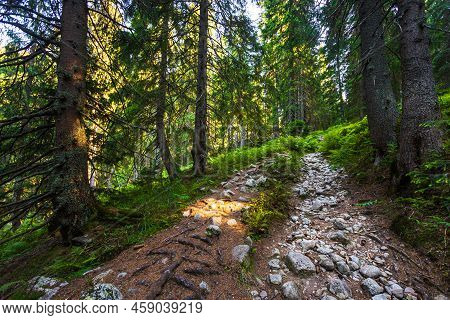 Slovakian Chopok Low Tatra Landscape