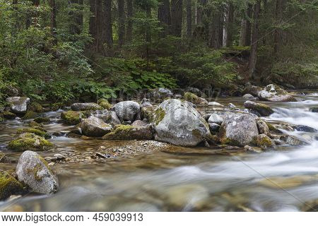 Fast River Flows In Coniferous Mountain Forest Among Mossy Stones. Tatras. Rackova Valley Landscape.