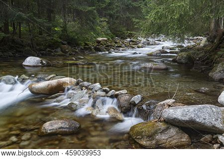 Fast River Flows In Coniferous Mountain Forest Among Mossy Stones. Tatras. Rackova Valley Landscape.