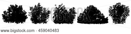 Bush, Set Of  Black Silhouettes. Vector Illustration