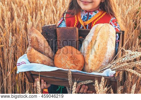 Bulgarian Woman, Young Girl In Traditional Folklore Dress Holds In Hands Golden Wheat And Freshly Ba