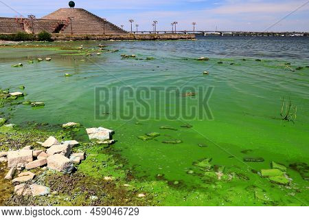 Dirty Green Waters, Wave With Algae, Problem Of Environmental Pollution. Toxic Decaying Algae In Riv