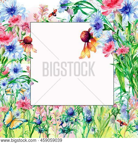 Frame With Meadow Colorful Flowers Watercolor Illustration Isolated.