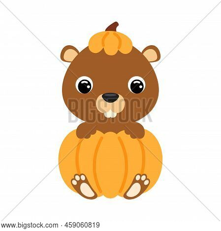 Cute Little Beaver Sitting In A Pumpkin. Cartoon Animal Character For Kids T-shirts, Nursery Decorat