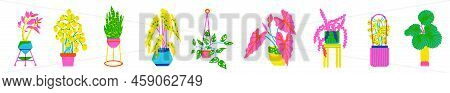 Set Of Plants In A Pot. Flowers In Trendy Risograph Print Texture Style. Hand Drawn Graphic Of Succu