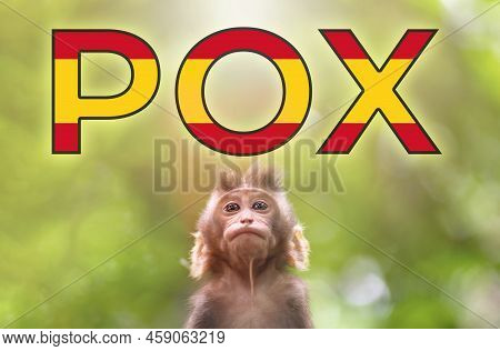A New Outbreak Of Viral Infection At Spain, Monkey Pox. Little Monkey Look At Text Pox With Spanish 