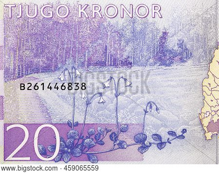 Forested Landscape In Smaland From Swedish Money - Crown