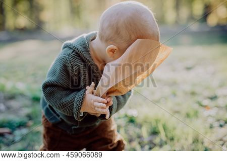 Portrait Of Cute Little Boy Wearing Knitted Hoodie In Nautre Holding Dry Leaf, Autumn Concept.