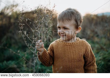 Portrait Of Cute Little Boy Wearing Knitted Sweater In Nautre, Autumn Concept.
