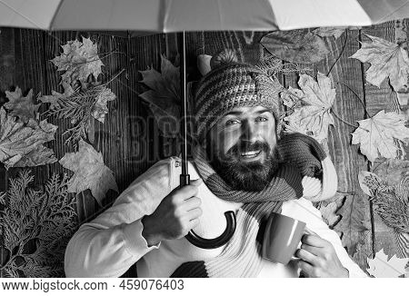 Time To Rest. In Love With Nature. Any Weather Is Good. Bearded Man Among Autumn Maple Leaves. Hipst