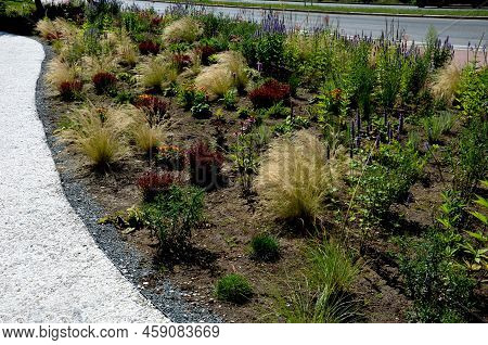 Beds Of Newly Planted Flowers Are Planted And Mulched With Bark. Bluebells And Cypresses, Paths Stre