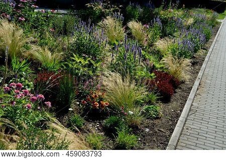 Beds Of Newly Planted Flowers Are Planted And Mulched With Bark. Bluebells And Cypresses, Paths Stre