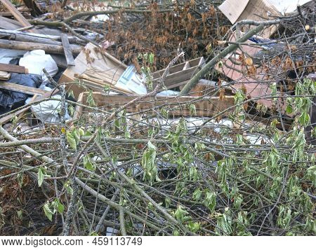Garbage From Human Activity Lies In A Rural Garbage Dump: Boards, Furniture, Branches, Bags