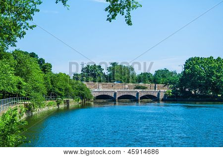 Přílivová pánve Bridge s veselými strom
