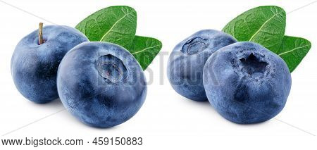 Set Of Two Blueberry Berry With Green Leaf Isolated On White Background With Clipping Path. Full Dep