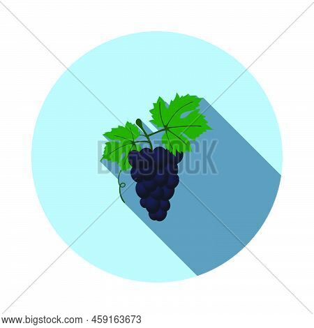 Icon Of Grape In Ui Colors. Flat Circle Stencil Design With Long Shadow. Vector Illustration.