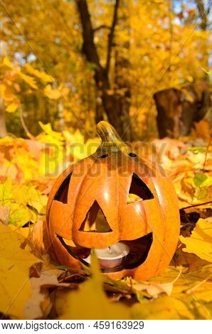 Pumpkins Candles On Golden Leaves In Autumn Forest With Defocused Sunset Background. Halloween Holid