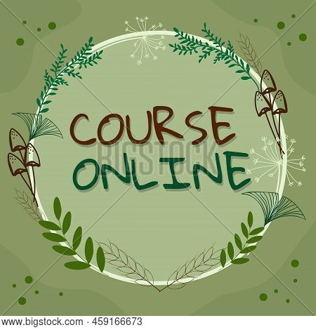 Writing Displaying Text Course Online. Business Overview Elearning Electronic Education Distant Stud