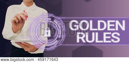 Conceptual Display Golden Rules. Business Overview Basic Principle That Should Be Followed Important