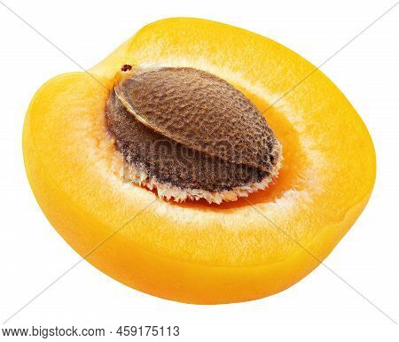 Apricot Half Or Yellow Plum With Kernel Isolated On White Background. Apricot Half And Seed With Cli