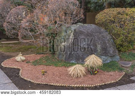 Japanese Garden With Mini Yukitsuri Straw Winter Decoration On A Chritmas Holly Tree In The Tennoji 