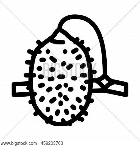 Cucumber Anguria Line Icon Vector. Cucumber Anguria Sign. Isolated Contour Symbol Black Illustration