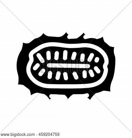 Anguria Cucumber Glyph Icon Vector. Anguria Cucumber Sign. Isolated Symbol Illustration