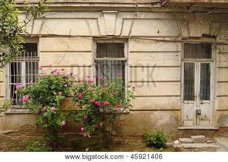 Old Window