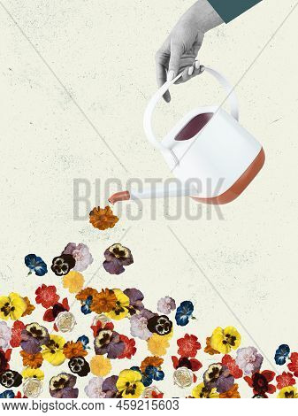 Female Hand Watering Field Of Flowers Isolated Over Light Background. Contemporary Artcollage. Summe