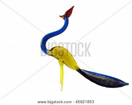 peacock bello