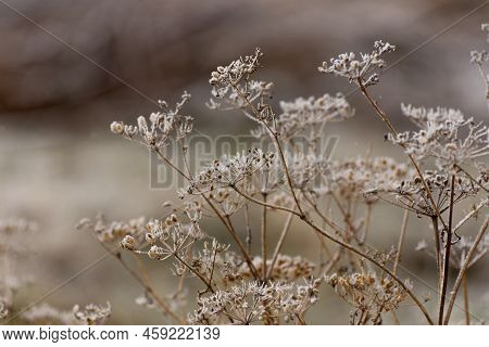 Beautiful Winter Landscape With Girskiy Tikych River Running Through Frosted Trees And Rocks.
