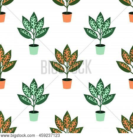 Seamless Aglaonema Pattern Red And Green Plants