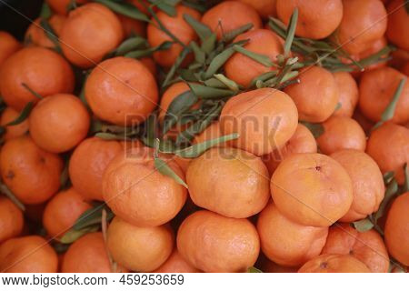 Tangerine Fruit