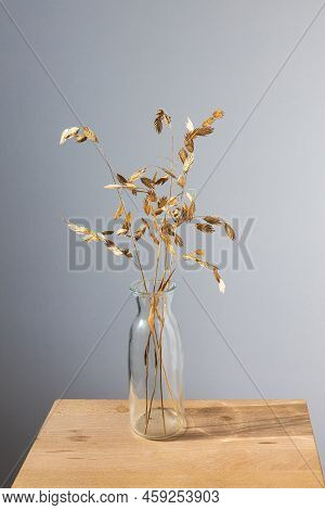 Bromus Secalinus In A Transparent Vase On A Wooden Table Against A White Wall With A Window Shadow.