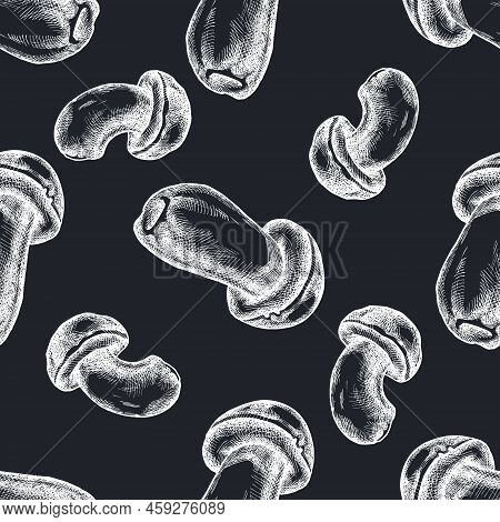 Seamless Pattern With Hand Drawn Chalk Porcini Stock Illustration