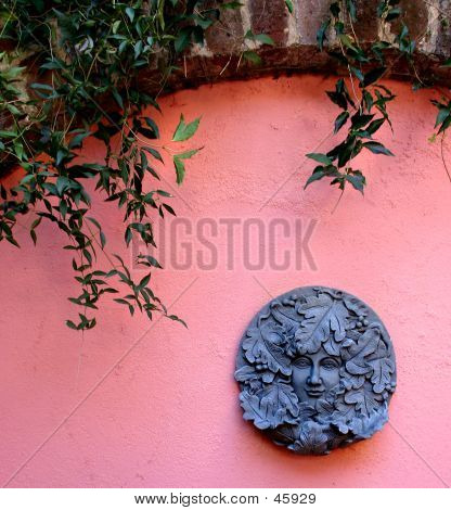 Vaaleanpunainen Garden Wall