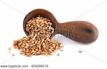Utsho Suneli Seeds In Wooden Spoon, Isolated On White Background. Trigonella Caerulea Or Blue Fenugr