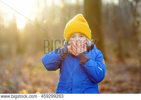 Child Warming Froze Hands During Walk In The Forest On A Cold Autumn Day. Preschooler Boy Is Having 