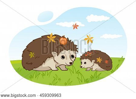 Hedgehogs At Field. Mother And Children In Nature. Forest Dwellers With Leaves And Apples. Nature An