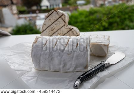 French Cheeses Heartshaped, Squared And Cylindrical Neufchatel Cow Cheese With Mold On White Paper,