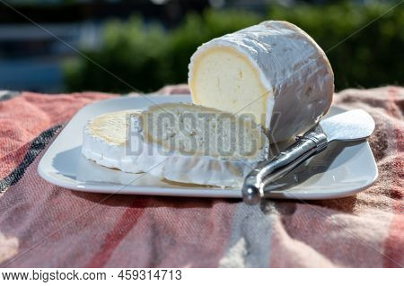 French Cheeses, Cylindrical Neufchatel Cow Cheese With Mold, Neufchâtel-en-bray, Normandy, France