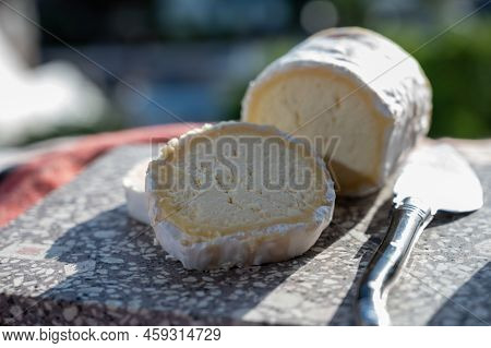 French Cheeses, Cylindrical Neufchatel Cow Cheese With Mold, Neufchâtel-en-bray, Normandy, France