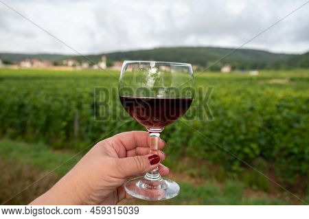 Tasting Of Red Dry Pinot Noir Wine In Glass On Premier And Grand Cru Vineyards In Burgundy Wine Maki