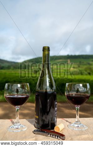 Tasting Of Red Dry Pinot Noir Wine In Glass On Premier And Grand Cru Vineyards In Burgundy Wine Maki
