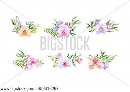 Fragrant Orchid Bloom With Labellum Arranged With Floral Branches Vector Set