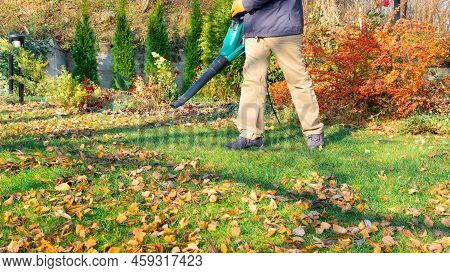 Blower Removes Fallen Leaves From The Lawn. A Gardener With A Blower Cleans The Grass From Leaves In