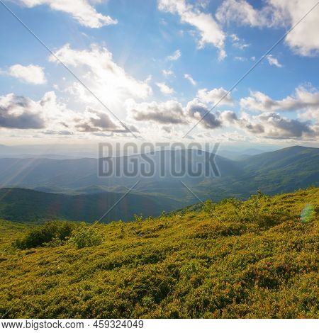 Alpine Meadows Of Runa Mountain. Stunning Countryside Landscape Of Trascarpathia In Evening Light. H