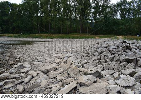 Rocks In The Riverbed Of The Rhine
