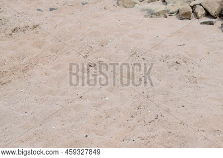 Fine Sandy Rhine Beach In Summer Drought